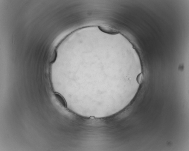 X0000113160952200910161241