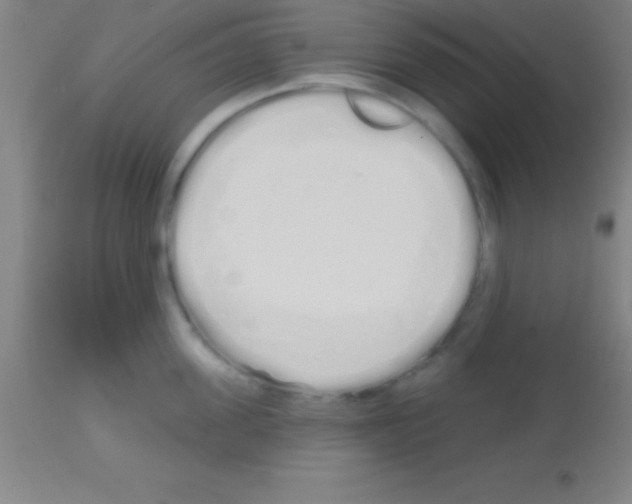 X0000113160955200910161241