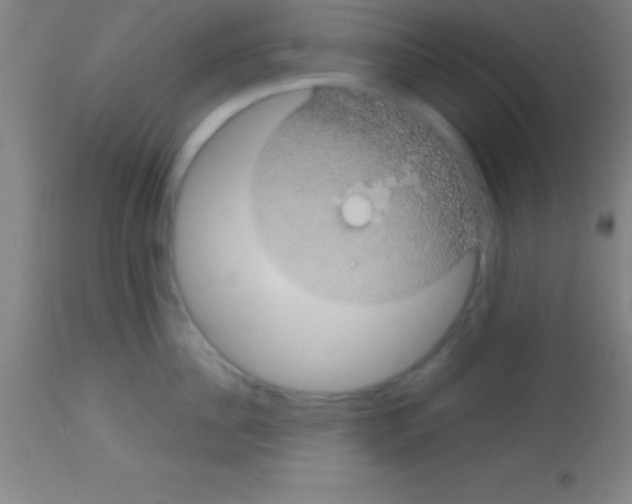 X0000113160956200910161241