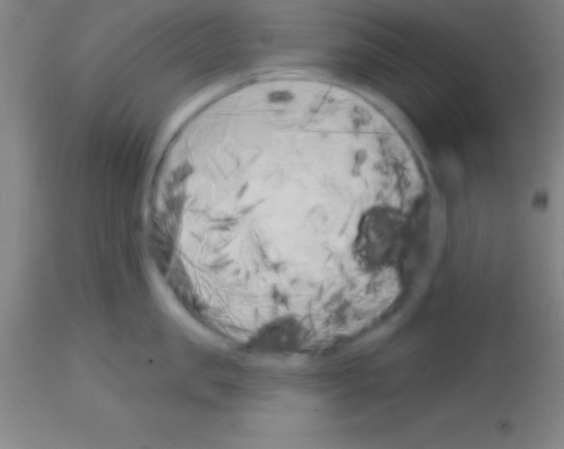 X0000113160957200910161241