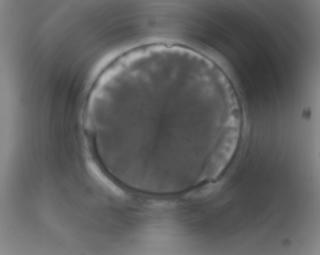 X0000113160958200910161241