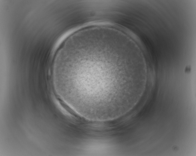 X0000113160959200910161241