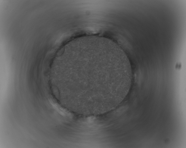 X0000113160961200910161240