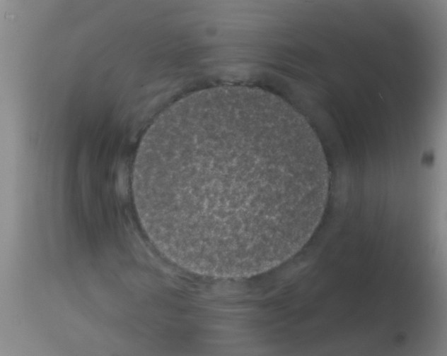 X0000113160962200910161240