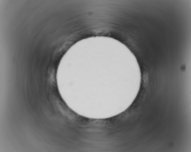 X0000113160963200910161240