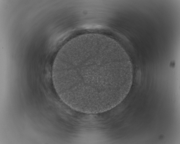 X0000113160966200910161240