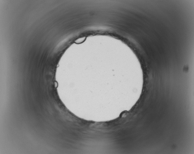 X0000113160967200910161240