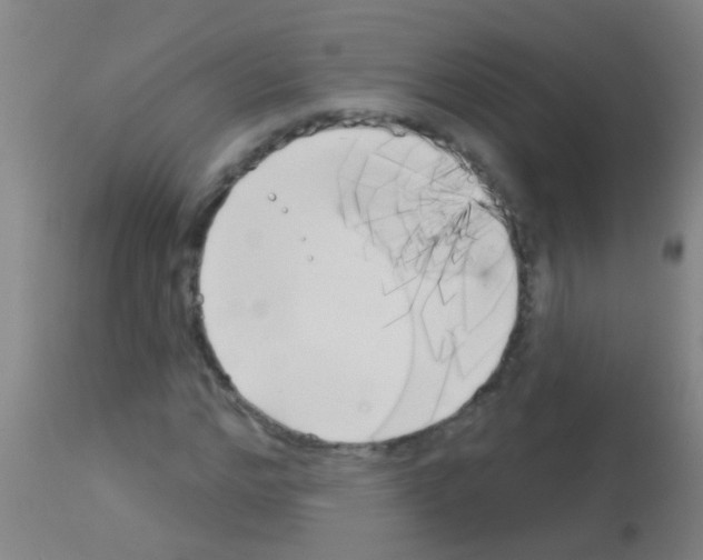 X0000113160968200910161240