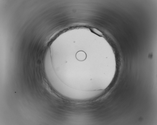 X0000113160969200910161240