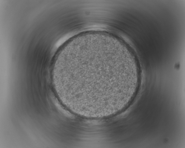 X0000113160970200910161240