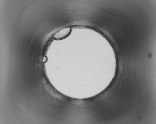 X0000113160971200910161240