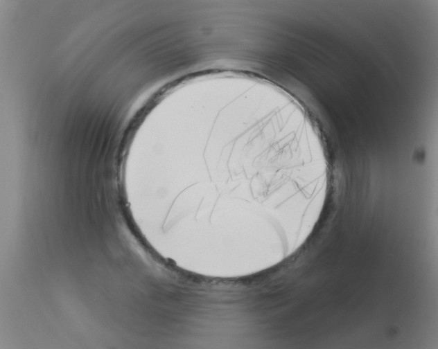 X0000113160972200910161240