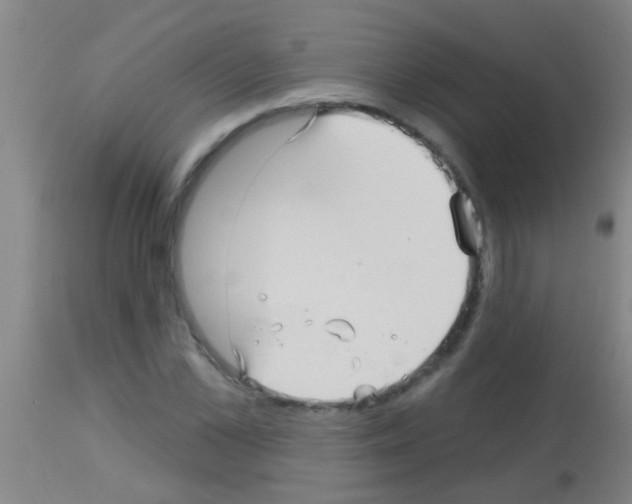 X0000113160973200910161240