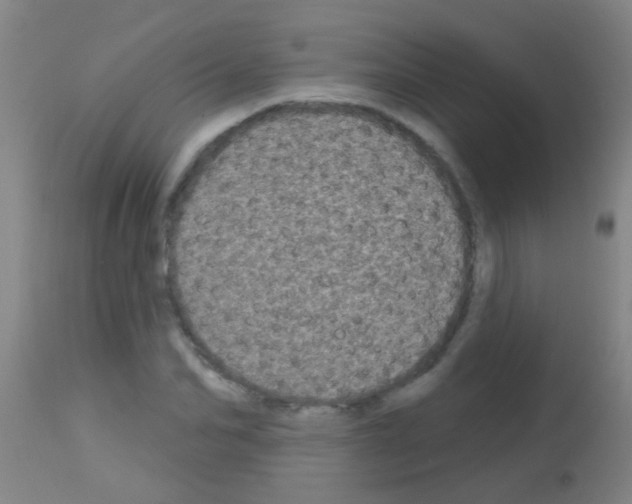 X0000113160974200910161240