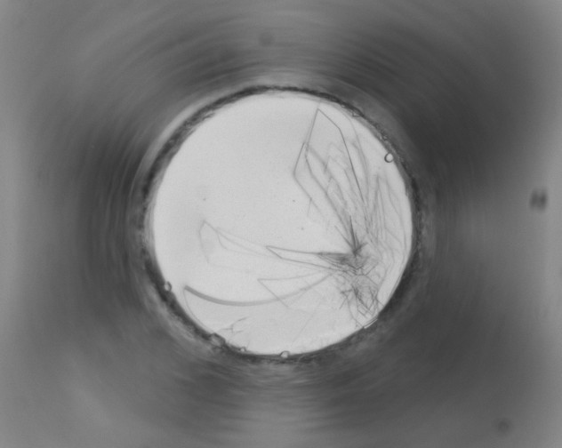 X0000113160976200910161240