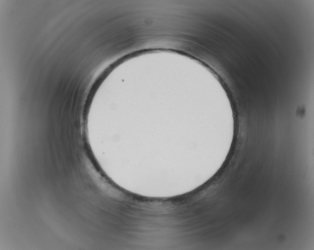 X0000113160980200910161240