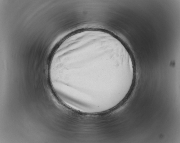 X0000113160981200910161240