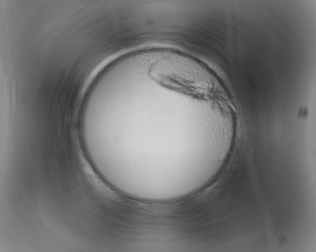 X0000113160984200910161240