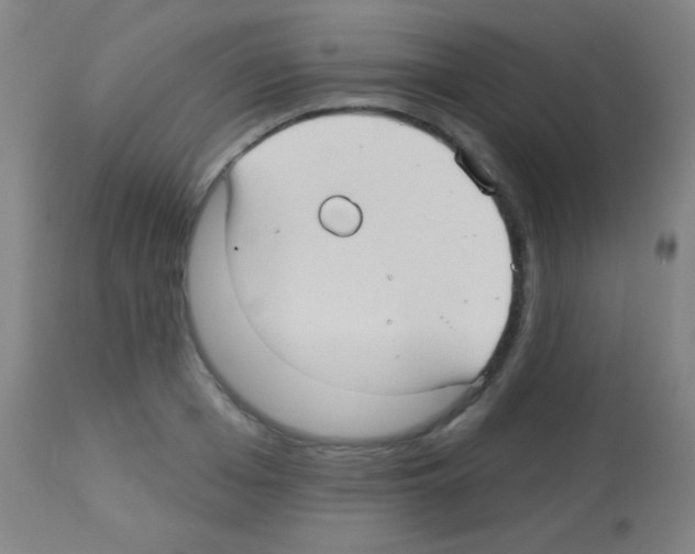 X0000113160985200910161240