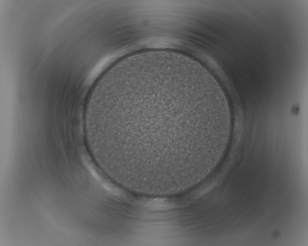 X0000113160986200910161240