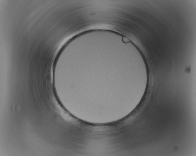 X0000113160988200910161240