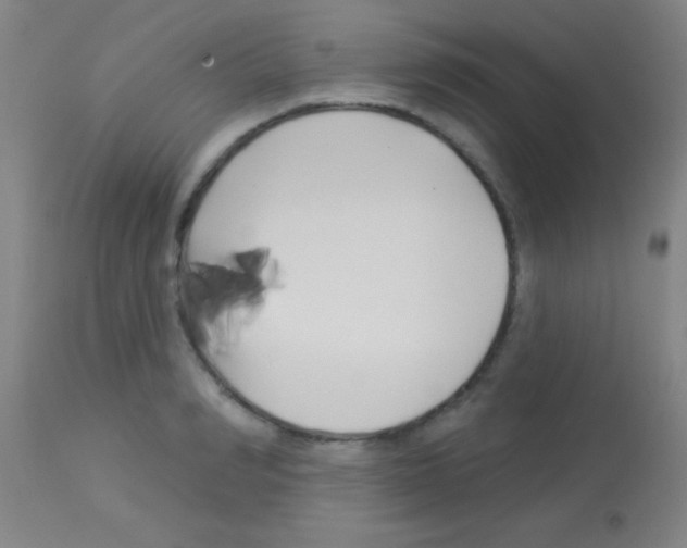 X0000113160990200910161240