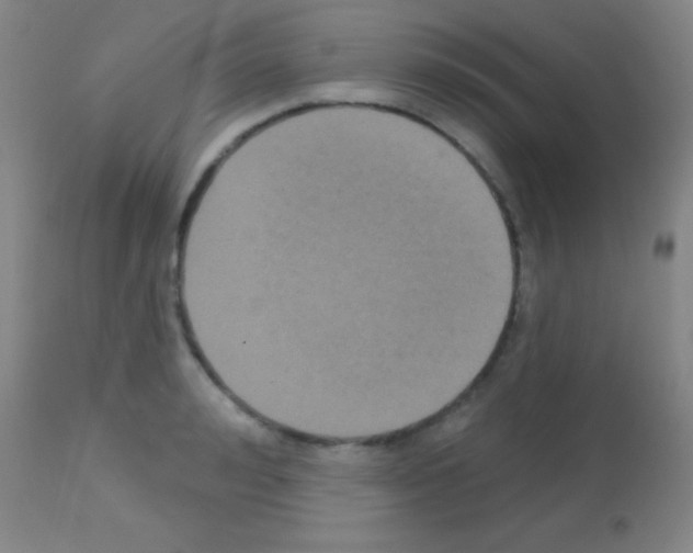 X0000113160992200910161240