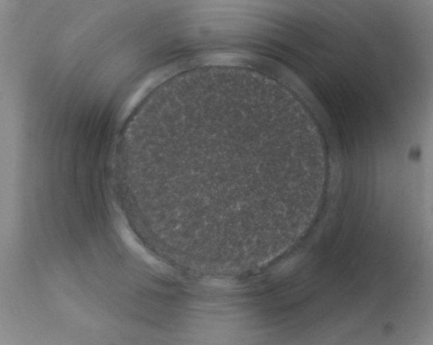 X0000113160994200910161240