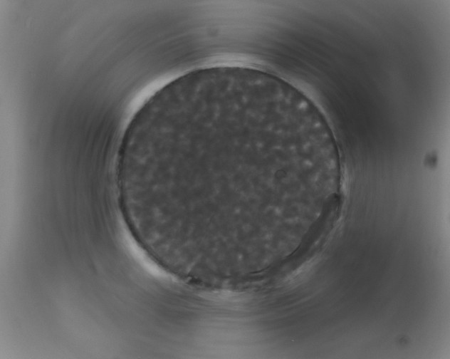 X0000113160995200910161240