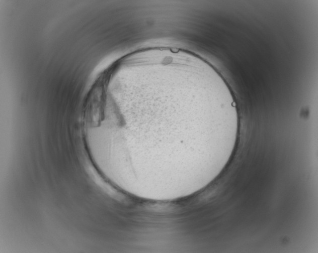 X0000113160998200910161240