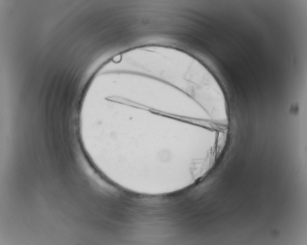 X0000113160999200910161240