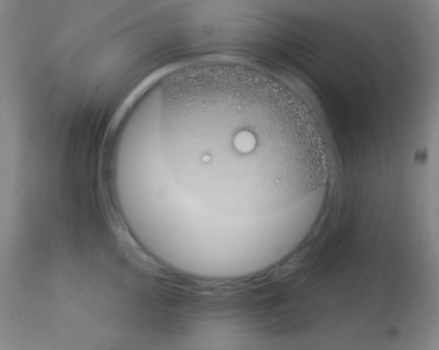 X0000113161000200910161240