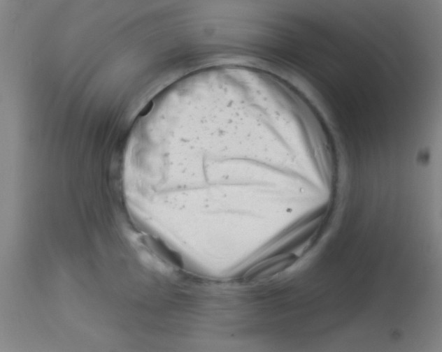 X0000113161001200910161240