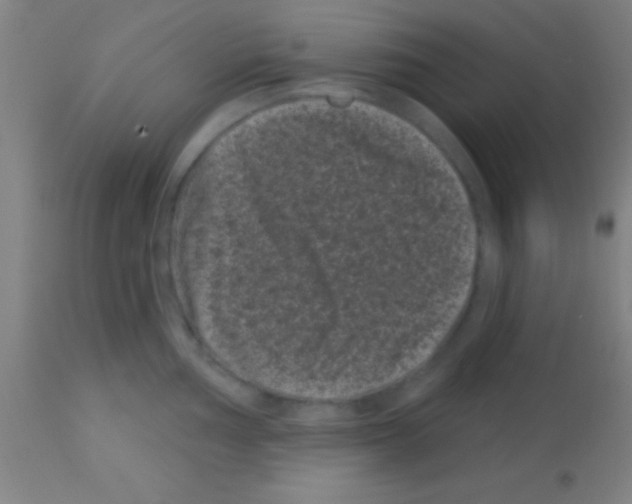 X0000113161002200910161240