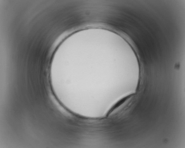 X0000113161005200910161240