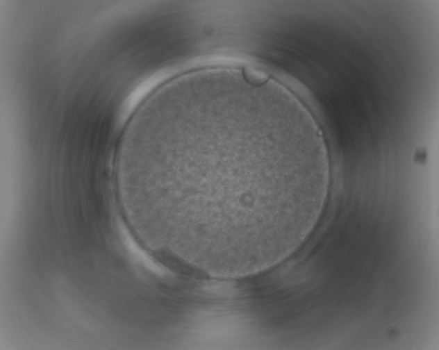 X0000113161006200910161240