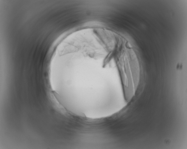 X0000113161008200910161239