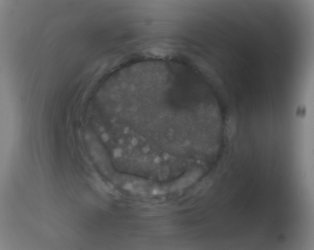 X0000113161009200910161238