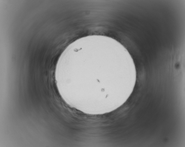 X0000113161010200910161238