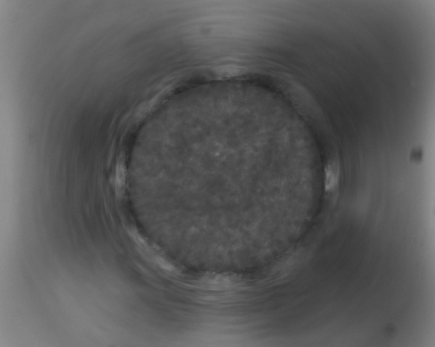 X0000113161011200910161238