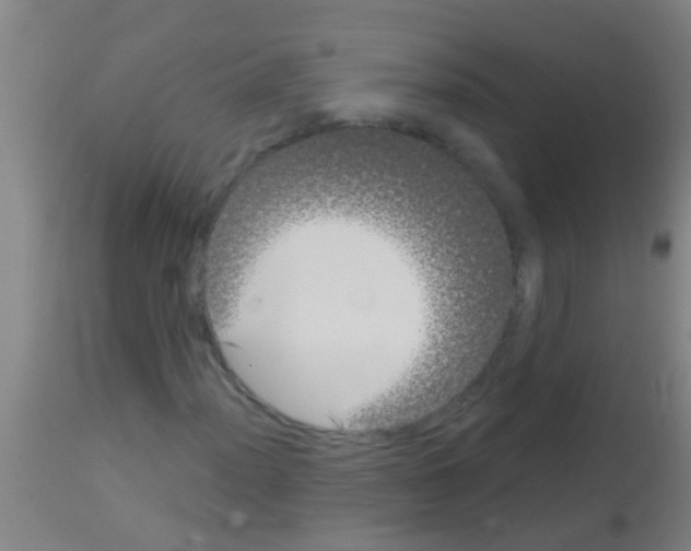 X0000113161012200910161238