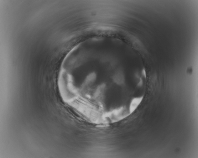 X0000113161013200910161238