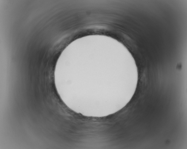 X0000113161014200910161238