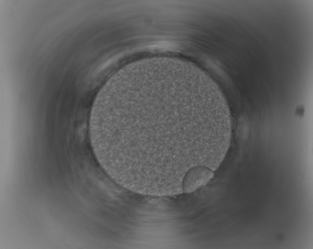 X0000113161015200910161238