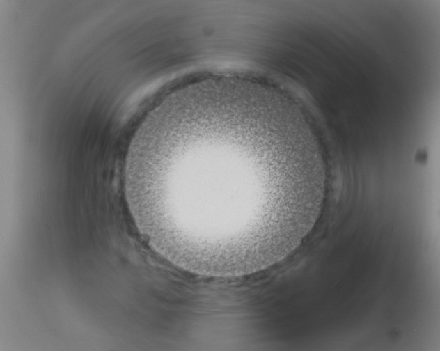 X0000113161016200910161238