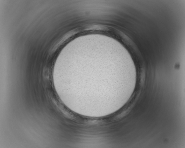 X0000113161017200910161238