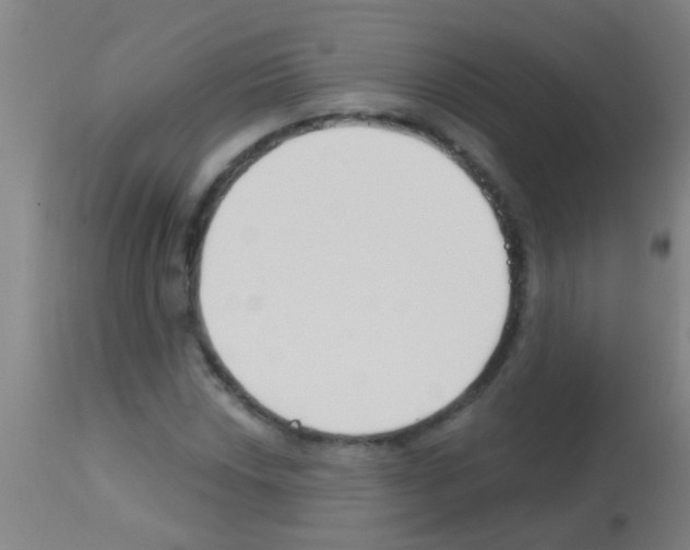 X0000113161018200910161238