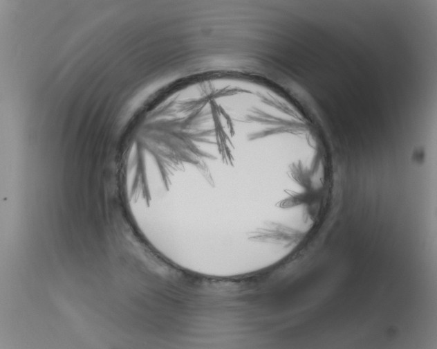 X0000113161019200910161238