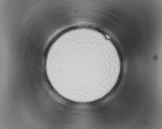 X0000113161021200910161239