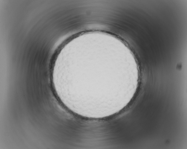 X0000113161022200910161239